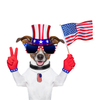 Hand Flags WF006