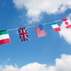 Custom flaglines Bunting Flags WF004