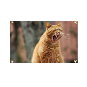 Custom Adveritsing Outdoor Banners WF011