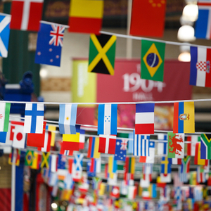 Bunting Flags WF004