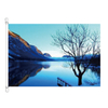 Horizontal Adveritsing Flags & Banners WF001