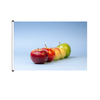 Horizontal Adveritsing Flags with grommets WF001