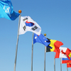 National Flags Country Flags States Flags WF003