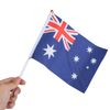 Hand Flags WF006