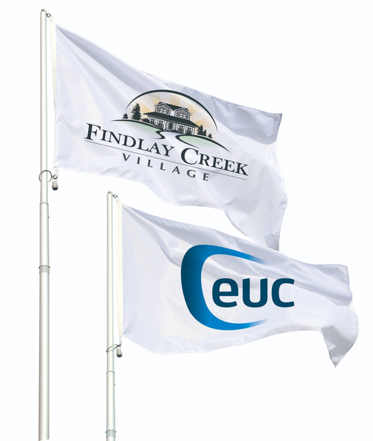 Horizontal Adveritsing Flags WF001