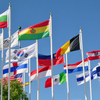Factory Supply National Flags Country Flags States Flags WF003