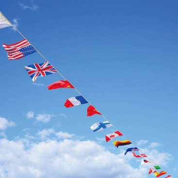 Bunting Flags WF004